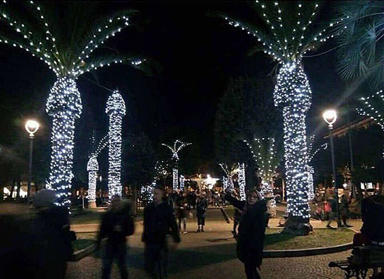 A photo showing why it's important NOT to decorate a palm tree for Christmas.