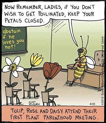 Cartoon of a bee talking to flowers in a classroom. Tells them to remember, if you don't wish to get pollinated, keep your petals closed.