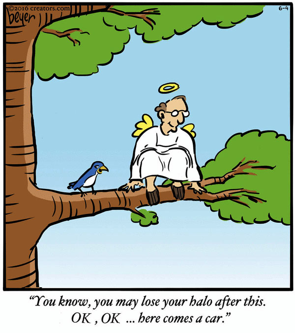 funny cartoon of a birdie and an angel sitting in a tree having fun
