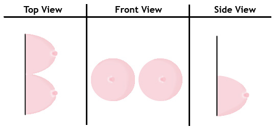 Drawing of difference angles of a boob or boobies that spell out boob