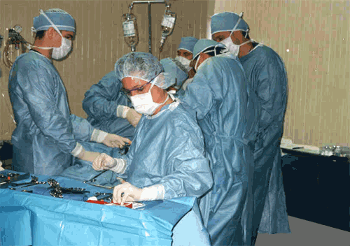 Dog dining in an operating room
