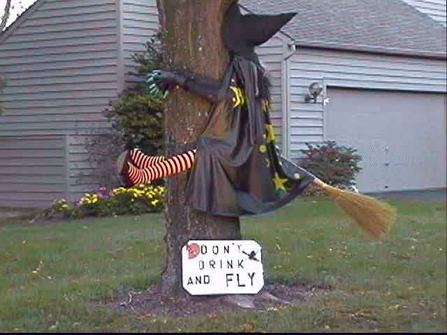 A Halloween Witch crashing into a tree