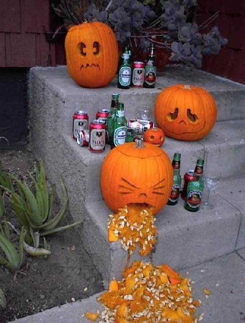 Pumpkins drink beer, one throws up