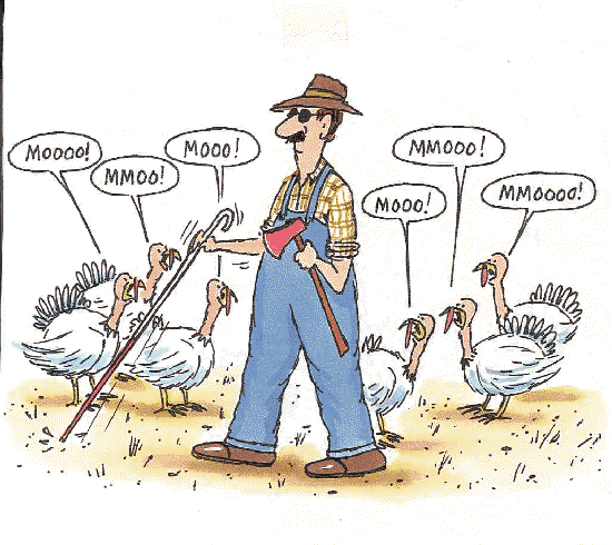 Turkey Mooing to Avoid Thanksgiving