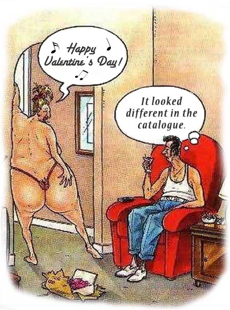 Man laments the bikini he ordered for Valentines Day is much smaller than his wife, a funny cartoon